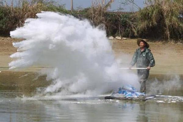 淡水罗氏沼虾的养殖技术，最好选择离水源较近的地方