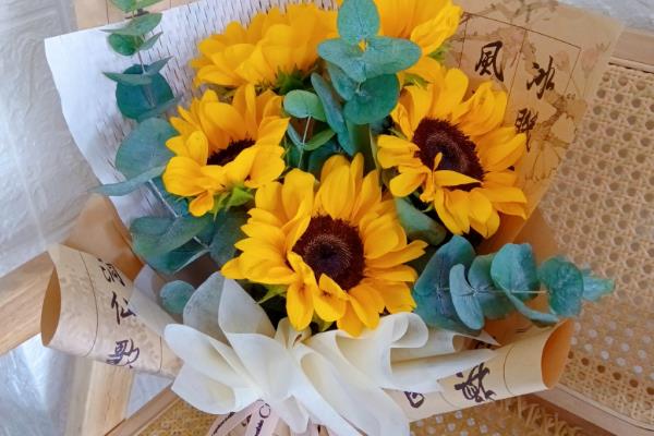 向日葵花的花语是什么，寓意沉默的爱、忠诚等