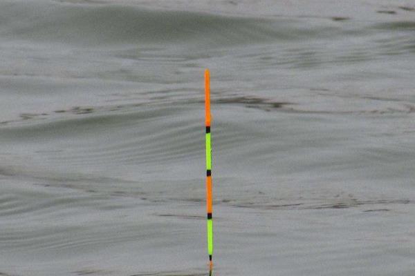 浮漂的分类，分为水花漂、细长型浮漂、圆型浮漂等