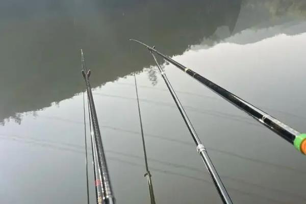 浮漂的分类，分为水花漂、细长型浮漂、圆型浮漂等