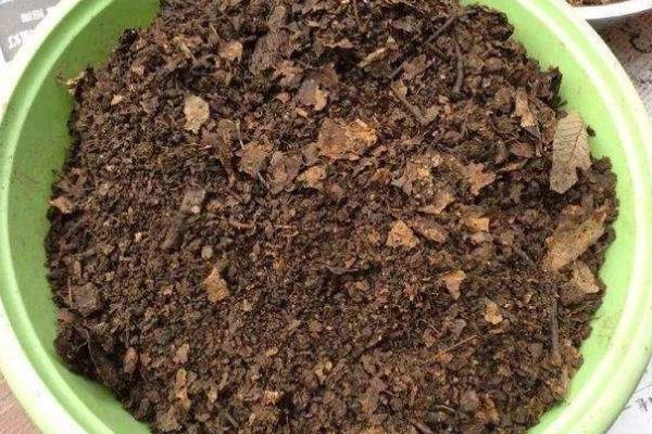 哪种腐叶土有营养，需将纯天然有机质肥料当作基质