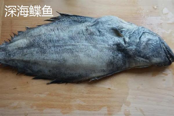 鲽鱼和深海鲽鱼的区别是什么，外形和分布区域均不同