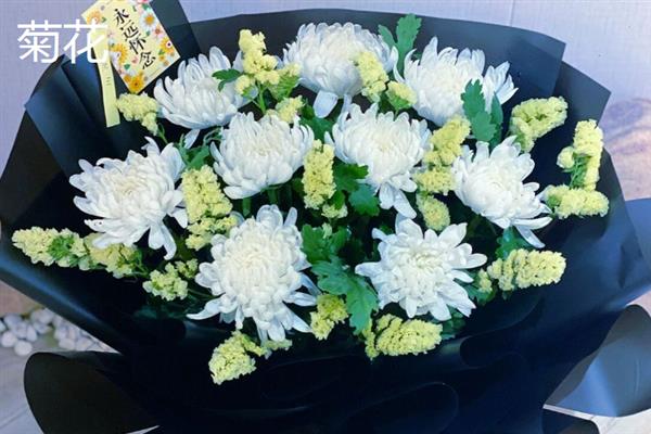哪种花卉可用于清明节上坟，菊花、百合花、白玫瑰等品种是适宜选择
