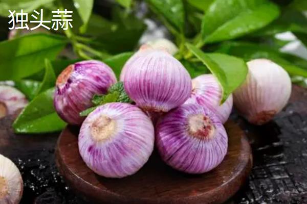 独头蒜和大蒜的区别，蒜瓣不同