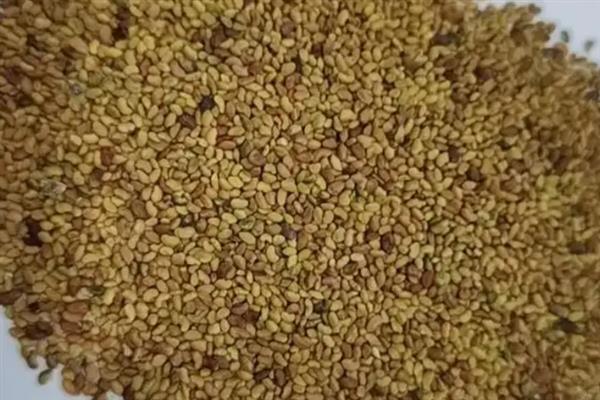 牧草种子的贮存方法，种子的含水量降到14%以下才能入库