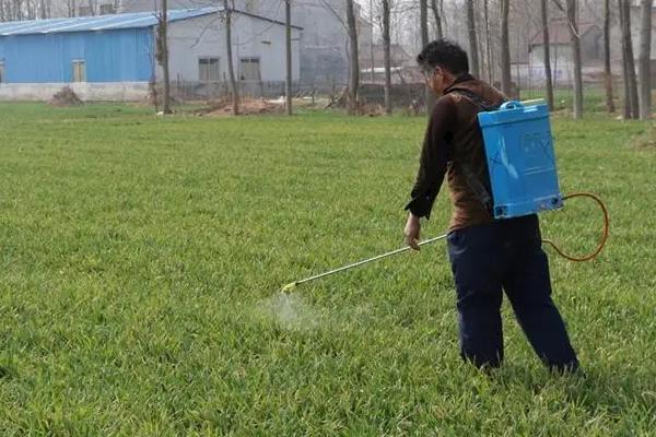 阿维高氯有哪些作用特点，具有较强的杀灭害虫作用