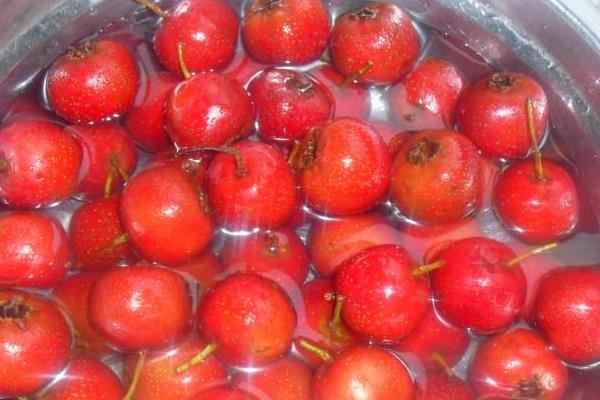 山楂的保存方法,以下4种方式均可采取