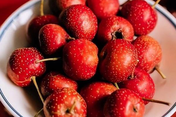 山楂的保存方法,以下4种方式均可采取