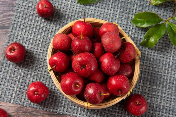 山楂的保存方法,以下4种方式均可采取