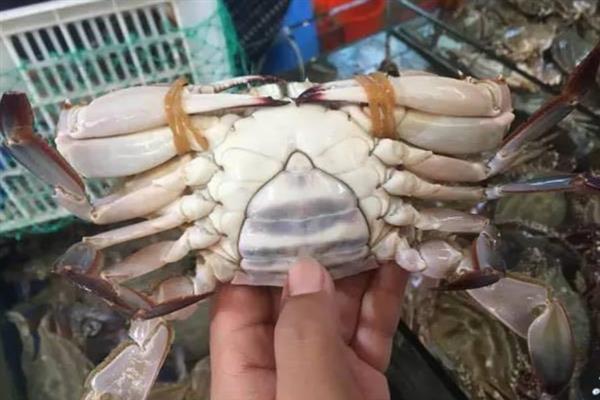 什么时候的海蟹最好吃，9-11月份的海蟹最为肥美