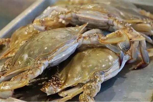 什么时候的海蟹最好吃，9-11月份的海蟹最为肥美