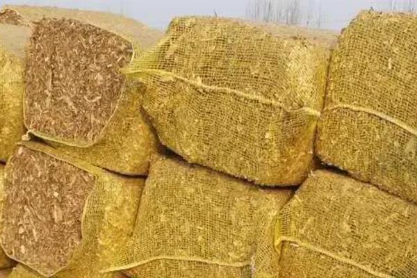 黄储玉米秸秆饲料如何制作，收割后先需要进行粉碎