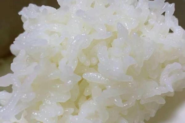 长粒米和圆粒米的区别，形状和口感均不同