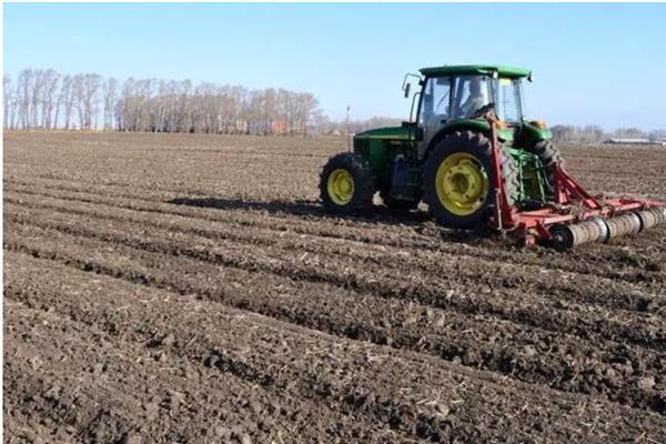 沉香的种植方法,种植2-3年后要为其施加含氮磷钾的肥料