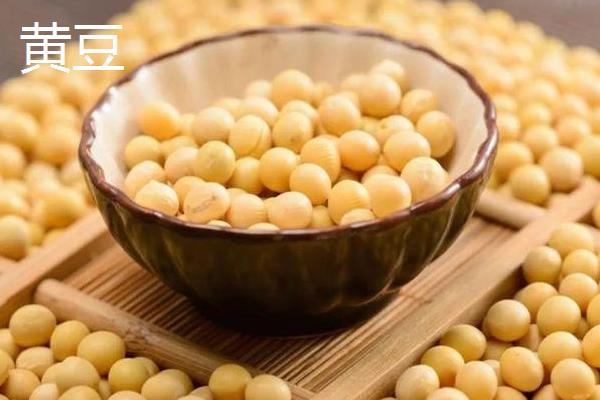 大豆的种类，常见的有青豆、黄豆、黑豆等