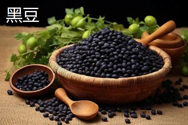 大豆的种类，常见的有青豆、黄豆、黑豆等