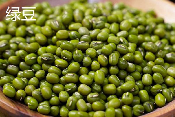 大豆的种类，常见的有青豆、黄豆、黑豆等