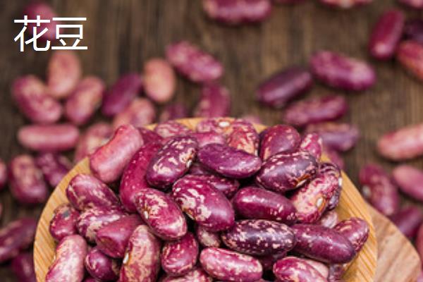 大豆的种类，常见的有青豆、黄豆、黑豆等