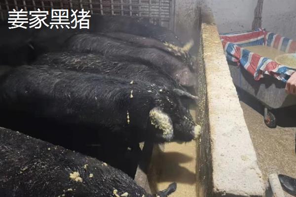 重庆市巴南的特产，有巴南银针、木洞油酥鸭等