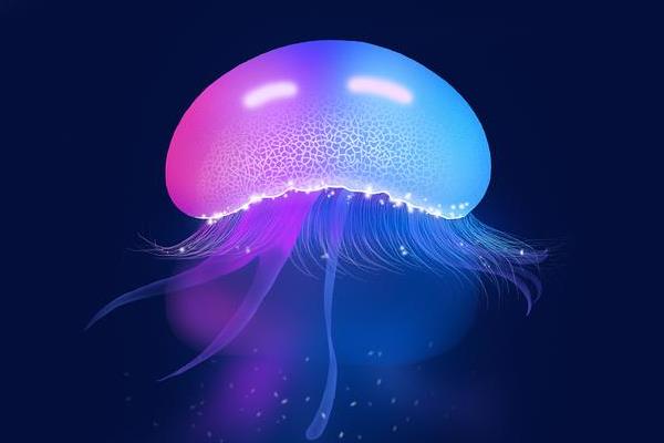 灯塔水母的寿命，其寿命是无限的