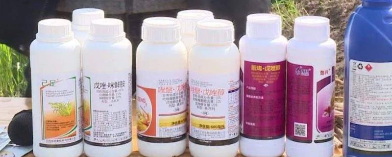 购买农药要注意哪些细节，向证件齐全的经营单位购买
