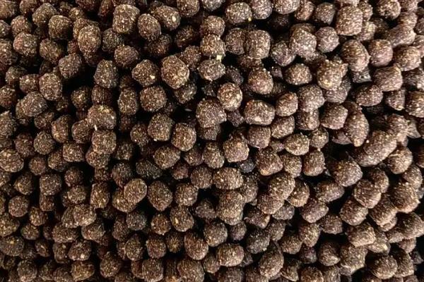 龙虾喜欢吃什么，喜欢吃水生昆虫、陆生昆虫的幼体等