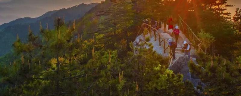 寒露节气农村有什么习俗,包括赏红叶、吃梨、吃花糕等传统