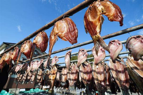 寒露节气农村有什么习俗,包括赏红叶、吃梨、吃花糕等传统