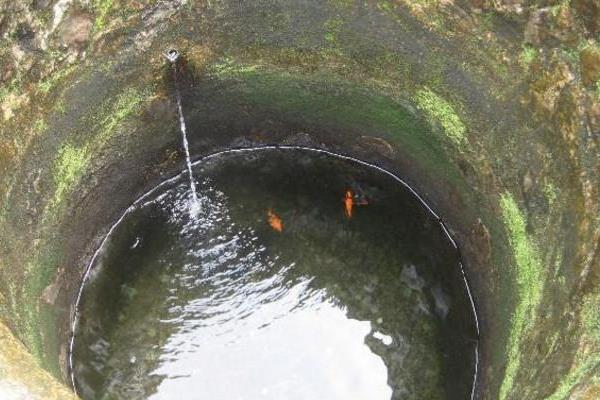 罗非鱼如何安全越冬，可以温泉水越冬、工厂余热水越冬等