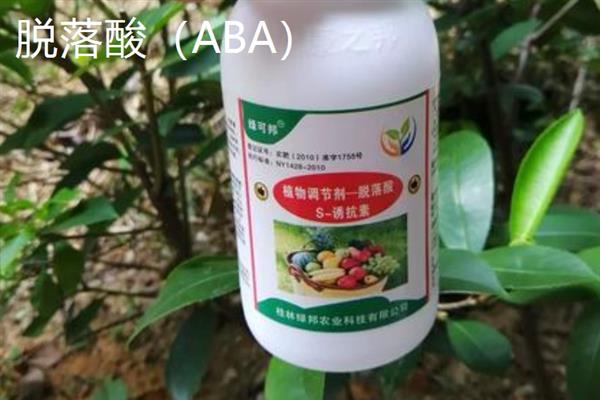 葡萄着色剂有哪些，可使用乙烯利、脱落酸、吡效隆等药物