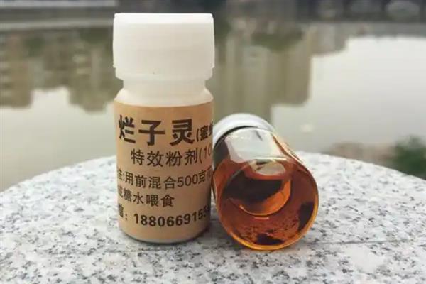 夏天怎么养殖中蜂，注意蜂箱的温度