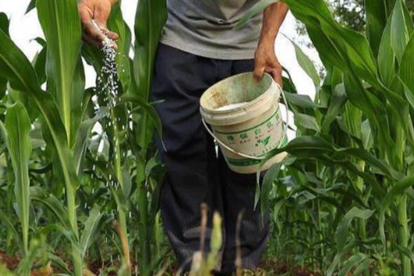 复合肥氮磷钾的比例，需要根据作物的需求来定