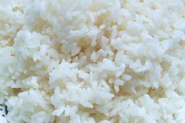 钓鲫鱼适合用哪种饵料，米饭、蚯蚓、红虫等类型均可使用