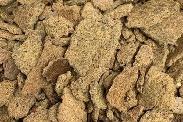 钓鲫鱼适合用哪种饵料，米饭、蚯蚓、红虫等类型均可使用