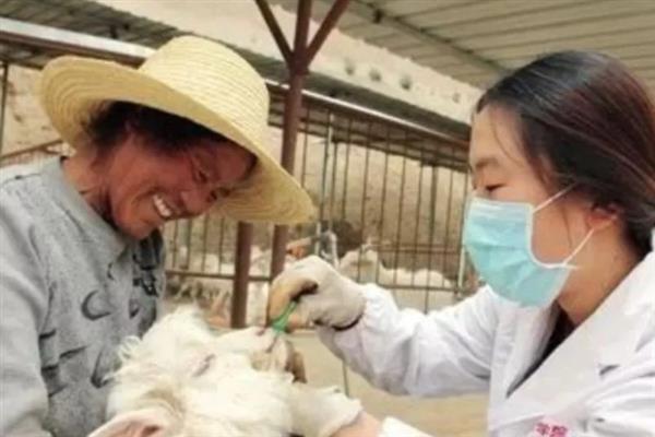 羊吃草甘膦中毒如何解决,急性中毒可以洗胃或注射阿托品