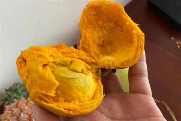 鸡蛋果怎么种植，种植前将种子放入清水中浸泡1-2天