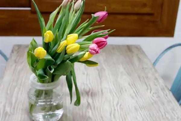 郁金香要深水醒花吗，无需深水醒花