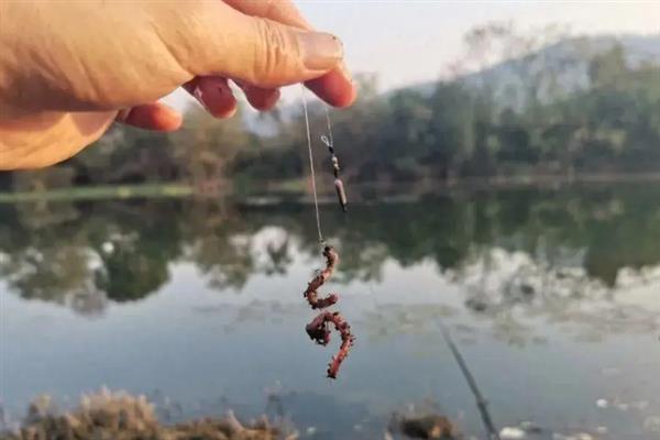 泥鳅能不能钓上来，可用溪流竿、鲫鱼竿垂钓