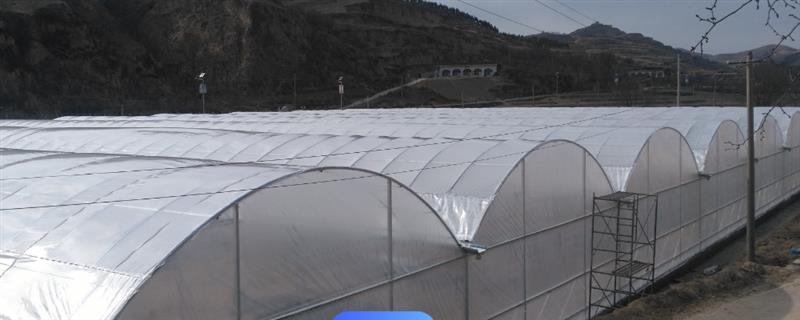 怎么搭建小型简易大棚，在两侧打洞插入竹竿并弯折成拱形