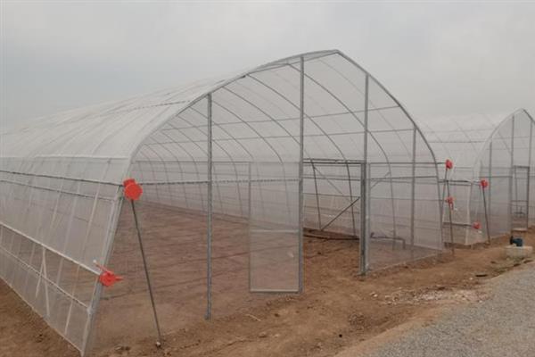 怎么搭建小型简易大棚，在两侧打洞插入竹竿并弯折成拱形