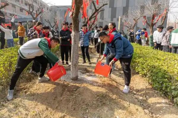 怎么栽培甜柿子，盛花期要喷施尿素和硼砂混合液