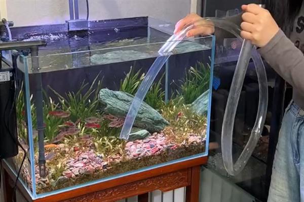 鱼粪便可以自然分解吗,可以被异养菌分解