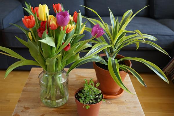 鱼粪便可以自然分解吗,可以被异养菌分解