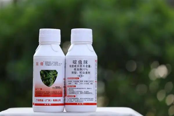怎么防治跳甲虫，中苗期可喷施毒死蜱＋辛硫磷
