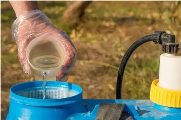 小麦何时收获，一般是在腊熟末期收获