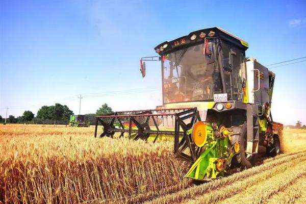 小麦何时收获，一般是在腊熟末期收获