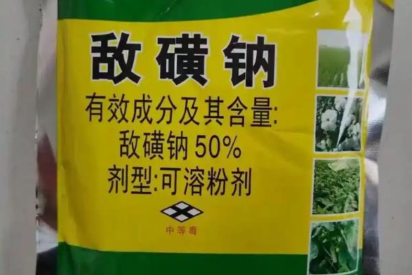 大白菜根肿病如何防治，可农业防治也可化学防治