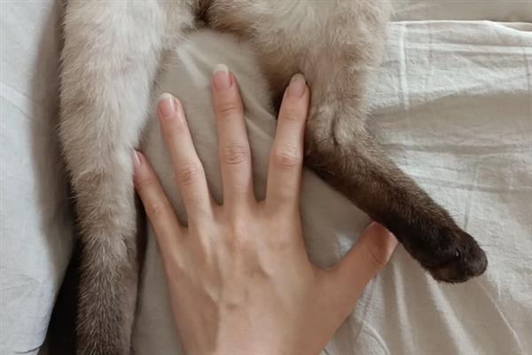 吸猫的正确方法，可以对着鼻子吸、抱着猫咪吸