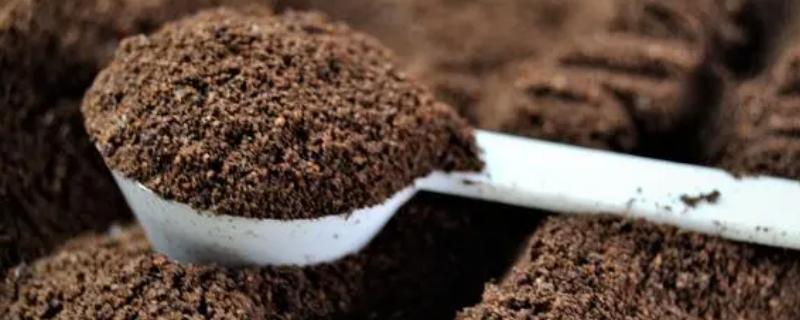 咖啡渣发酵到什么程度可以使用,没有咖啡味时才能当作肥料