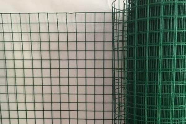 老鼠害怕什么动物，害怕猫、猫头鹰和蛇